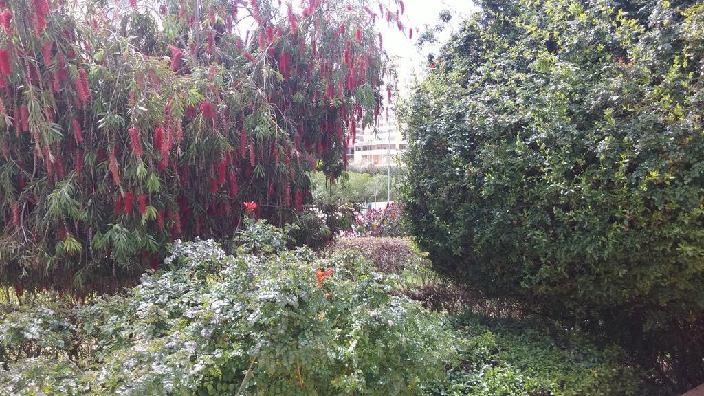 Primavera Sun Портиман Экстерьер фото